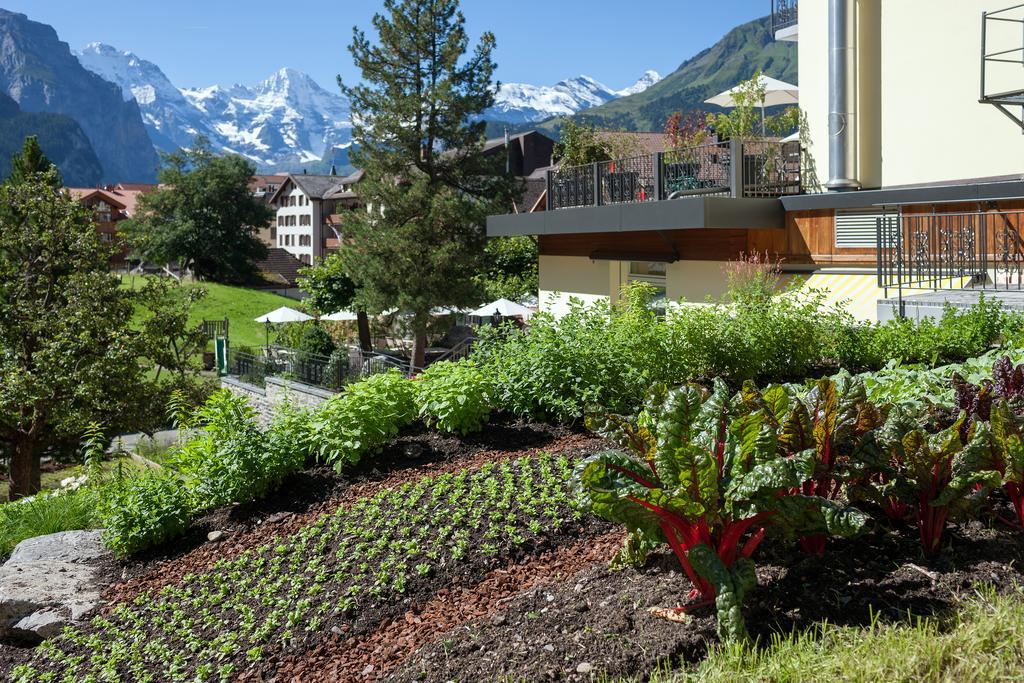 Hotel Schoenegg Wengen Esterno foto